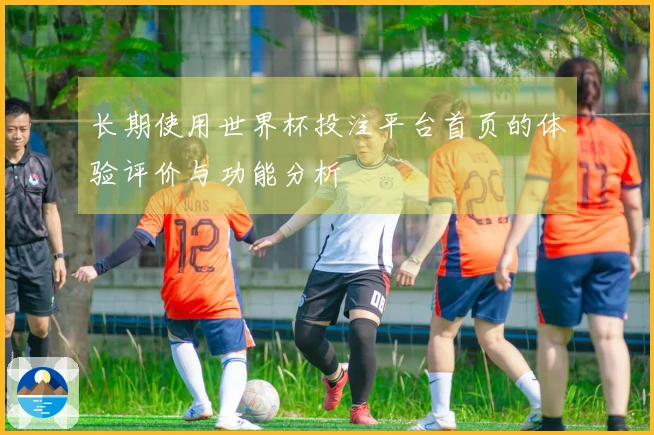 长期使用世界杯投注平台首页的体验评价与功能分析