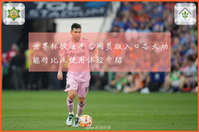 世界杯投注平台网页版入口各大功能对比及使用体验介绍