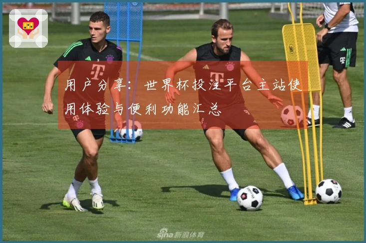 用户分享：世界杯投注平台主站使用体验与便利功能汇总